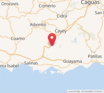 Map of La Plena, Salinas