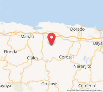 Map of Miranda, Vega Baja