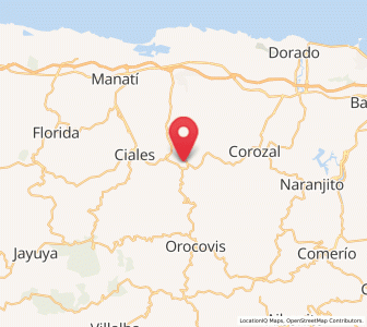 Map of Morovis