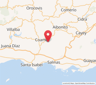 Map of Palmarejo, Coamo