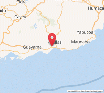 Map of Palmas, Arroyo