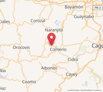 Map of Palomas, Comerío
