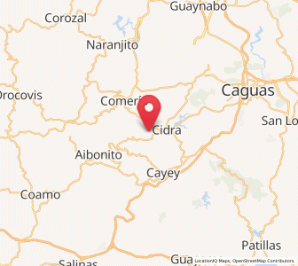 Map of Parcelas La Milagrosa, Cidra