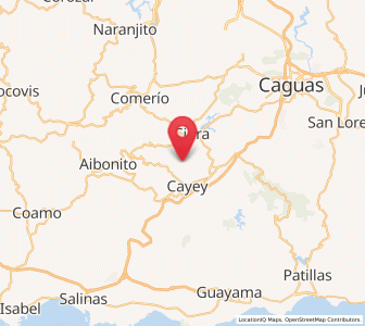 Map of Parcelas Nuevas, Cidra