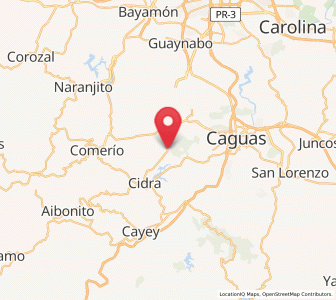 Map of Sumidero, Aguas Buenas