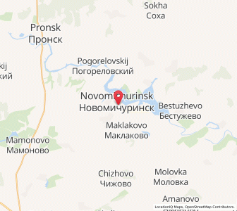 Map of Novomichurinsk, Ryazan Oblast