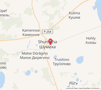 Map of Shumikha, Kurgan Oblast