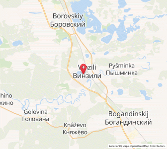 Map of Vinzili, Tyumen Oblast