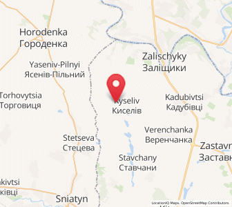 Map of Borivtsi, Chernivtsi