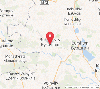 Map of Bukachivtsi, Ivano-Frankivsk
