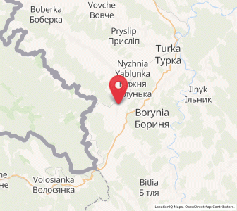 Map of Nyzhnii Turiv, Lviv