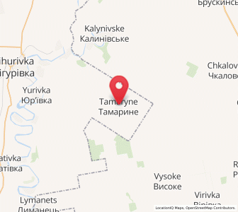 Map of Tamaryne, Mykolaiv