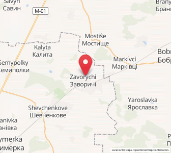 Map of Zavorychi, Kiev