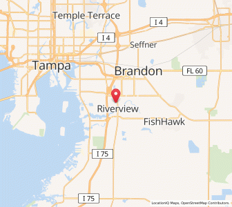 Map of 33578, Florida