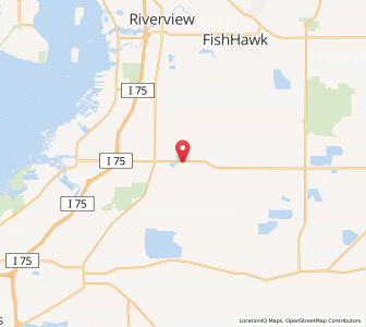 Map of 33598, Florida