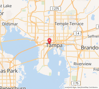 Map of 33613, Florida