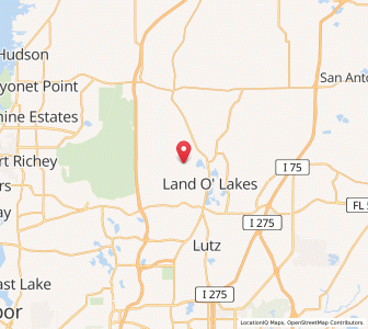 Map of 34637, Florida