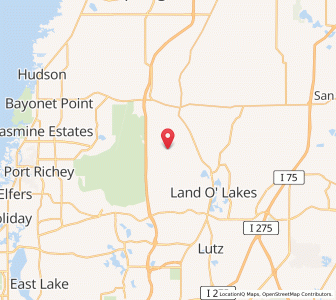 Map of 34638, Florida