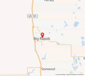 Map of 49307, Michigan