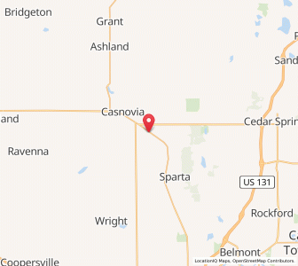 Map of 49330, Michigan