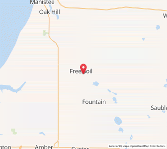 Map of 49411, Michigan