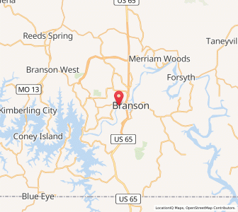 Map of 65616, Missouri