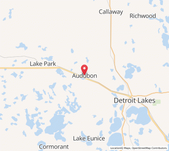 Map of Audubon, Minnesota