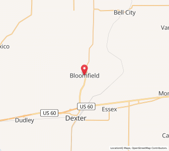 Map of Bloomfield, Missouri