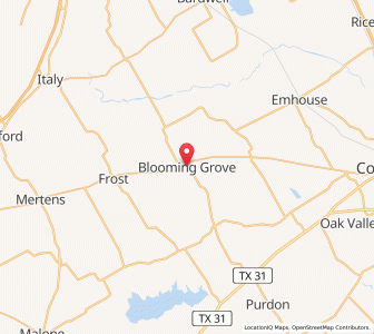 Map of Blooming Grove, Texas