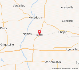 Map of Bluffs, Illinois