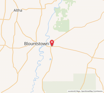 Map of Bristol, Florida