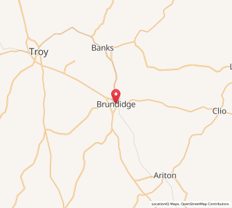 Map of Brundidge, Alabama