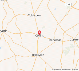Map of Collins, Georgia