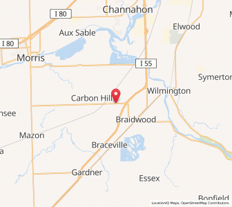Map of Diamond, Illinois