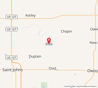 Map of Elsie, Michigan