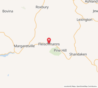 Map of Fleischmanns, New York