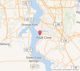 Map of Fruit Cove, Florida
