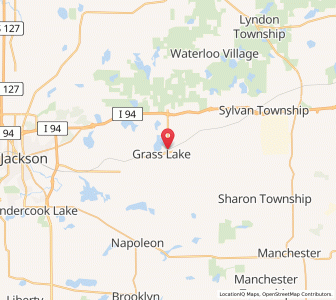 Map of Grass Lake Township, Michigan