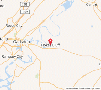 Map of Hokes Bluff, Alabama