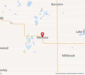 Map of Mecosta, Michigan