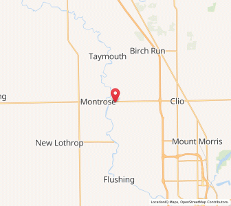 Map of Montrose Township, Michigan