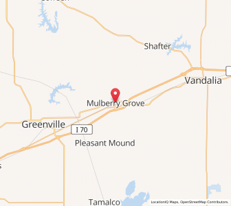 Map of Mulberry Grove, Illinois