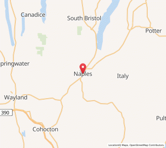 Map of Naples, New York