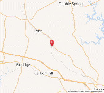 Map of Nauvoo, Alabama