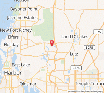 Map of Odessa, Florida