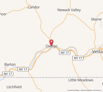 Map of Owego, New York