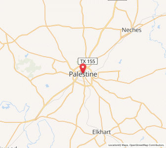 Map of Palestine, Texas