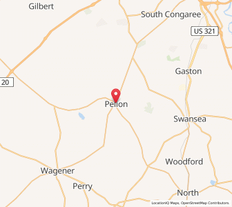 Map of Pelion, South Carolina