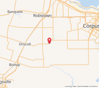 Map of Petronila, Texas