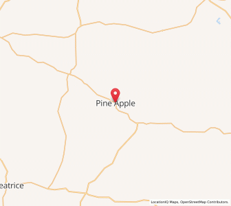 Map of Pine Apple, Alabama